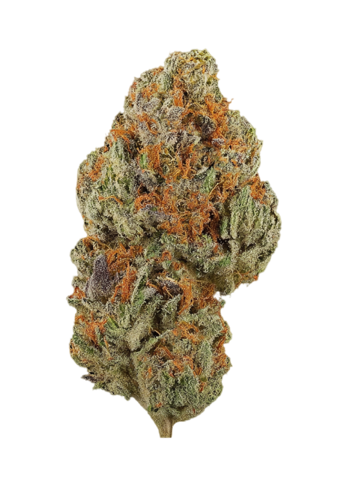 Sojay Haze