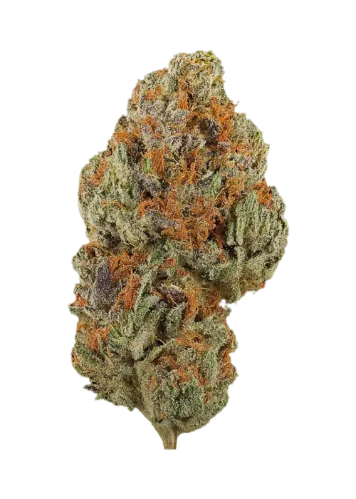 Sojay Haze