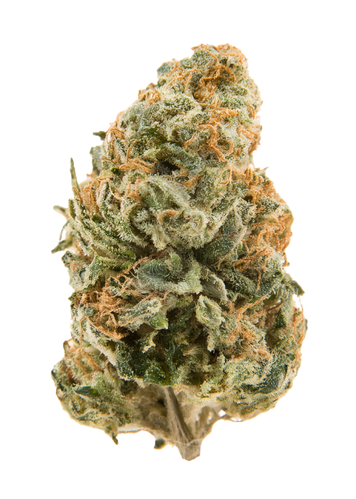 Blackberry Cobbler