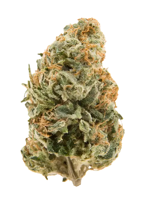 Blackberry Cobbler