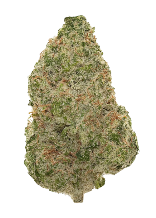 Limelight
