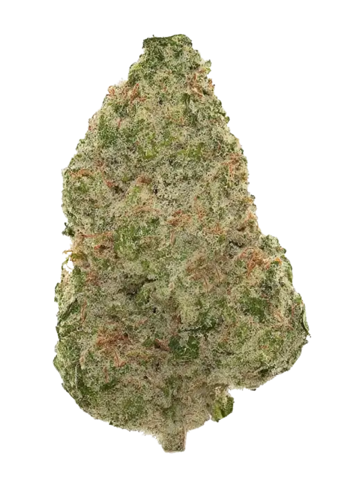 Limelight