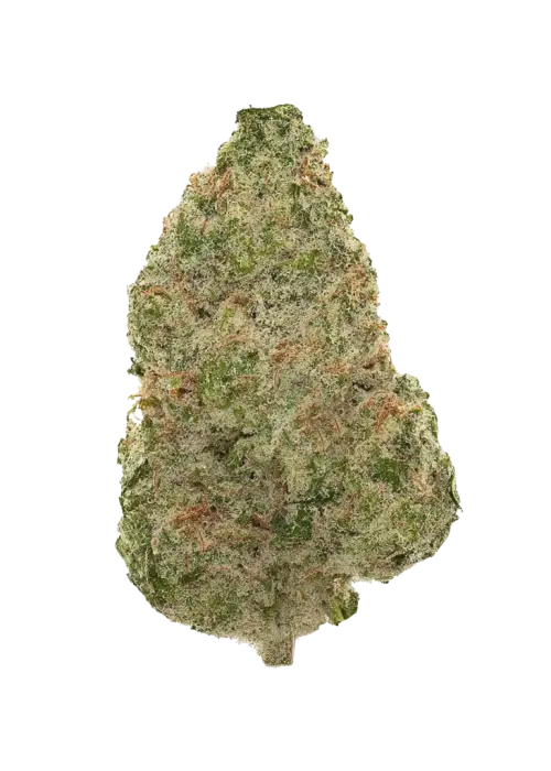 Limelight