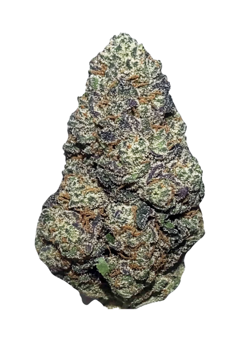 Lime Skunk