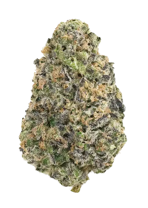 Monkey Balls