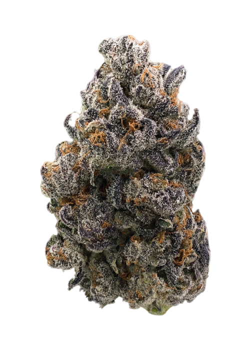 Blueberry Afgoo