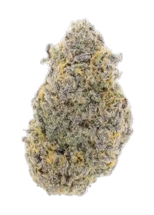 White Skunk