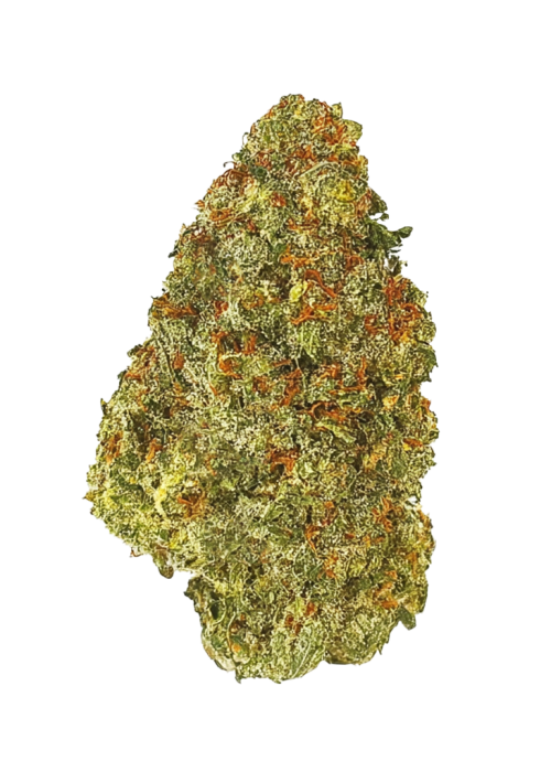 Jack Herer