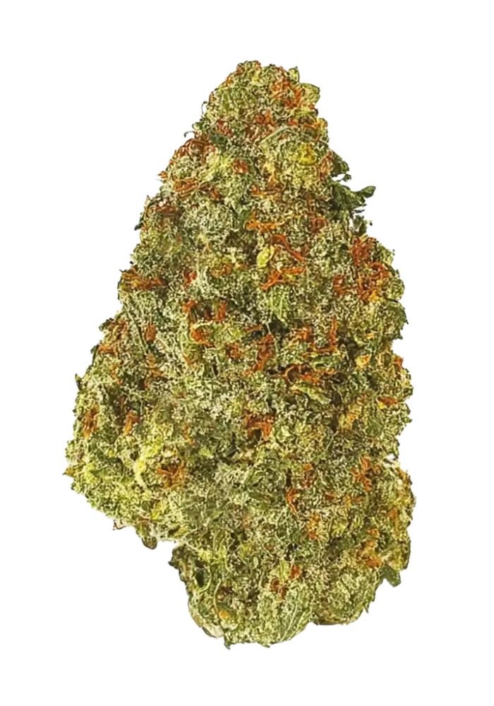 Jack Herer