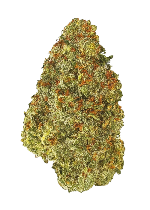 Jack Herer