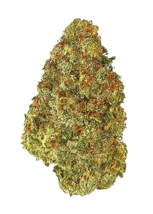 Jack Herer