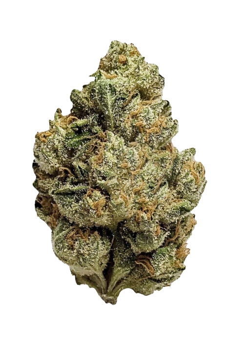 Lemon Tree