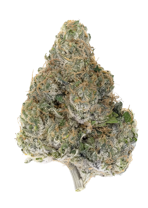 Yellow Fruit Stripe