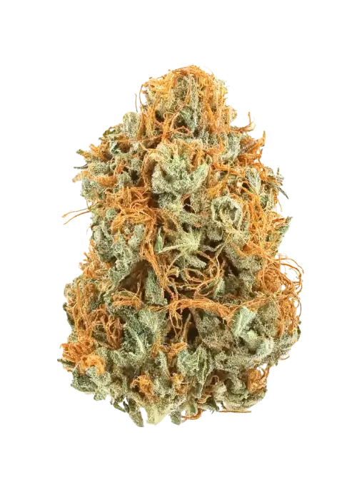 Orange Dream