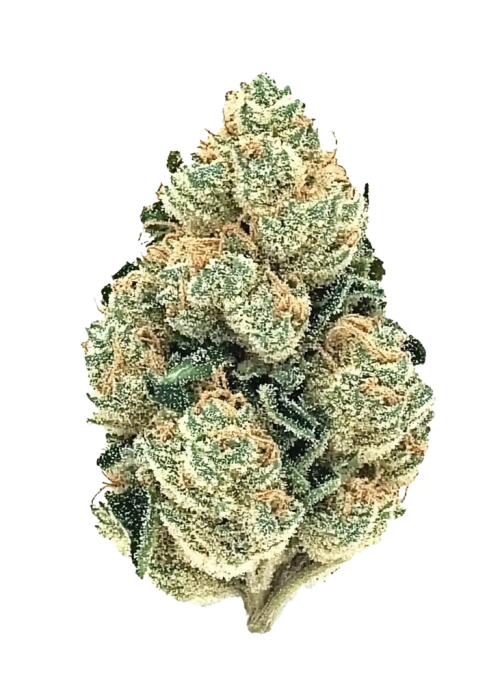 Sweet Skunk