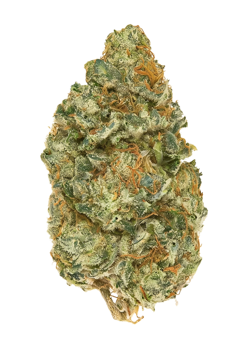 Cataract Kush
