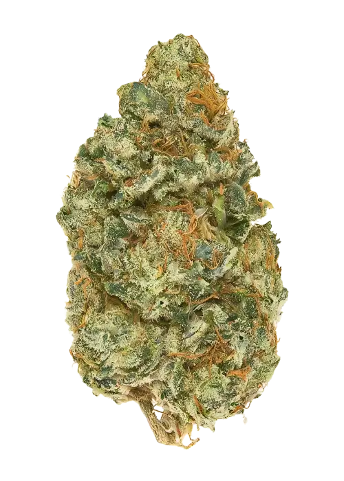 Cataract Kush
