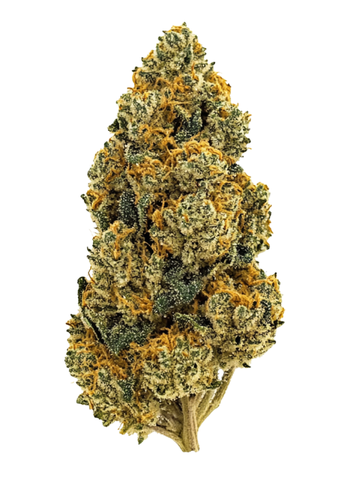 Sherbet Cookies