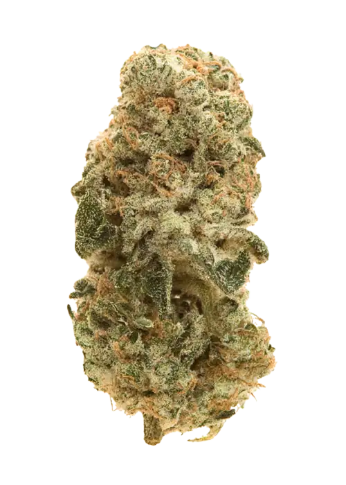 Chemlato