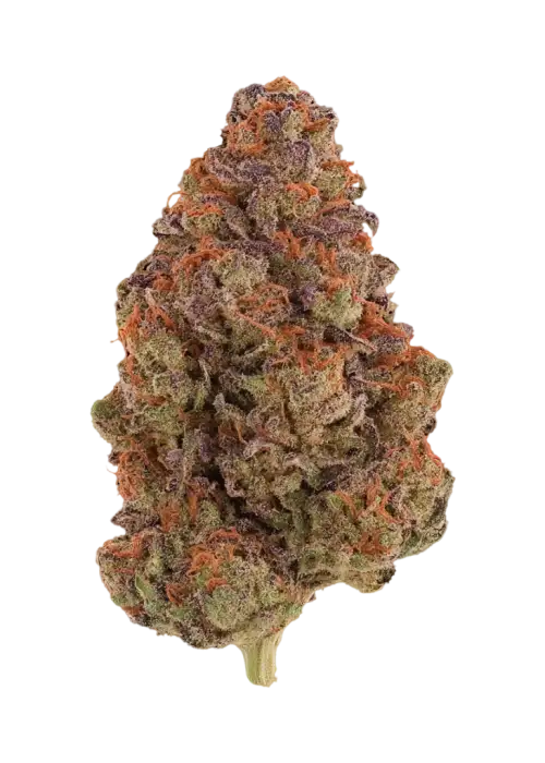 Berry Bomb