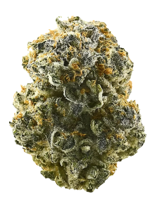 Sour Garlic Cookies