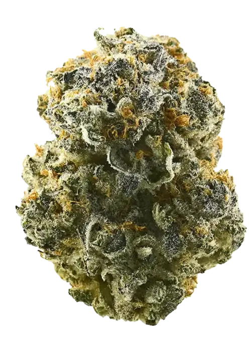 Sour Garlic Cookies