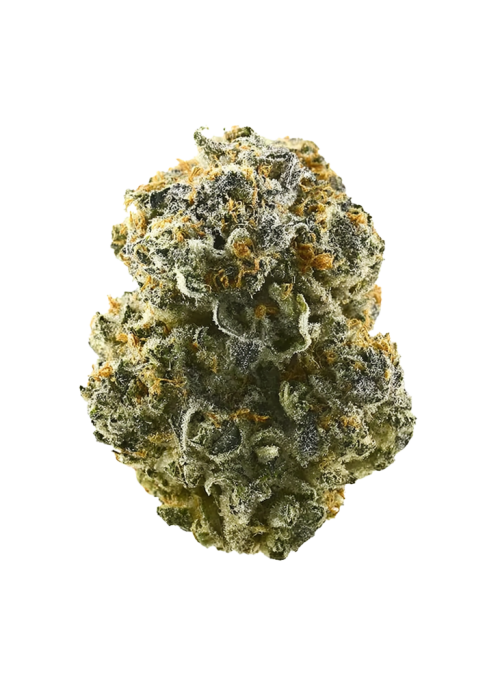 Sour Garlic Cookies