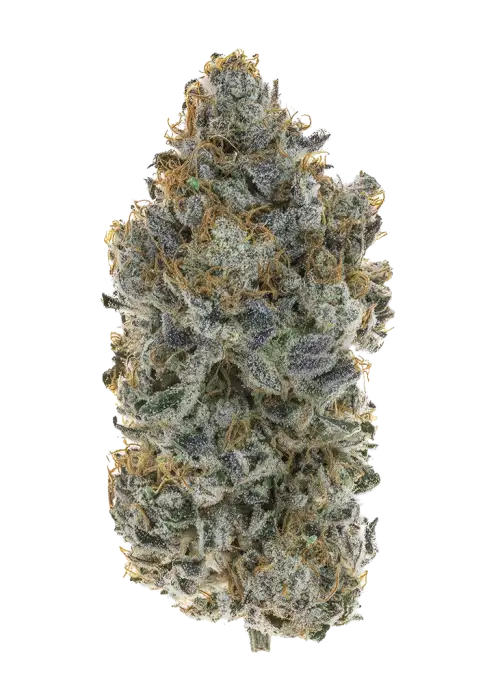 Grape Frosty