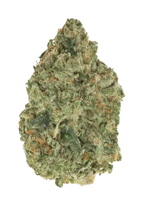 Amherst Sour Diesel