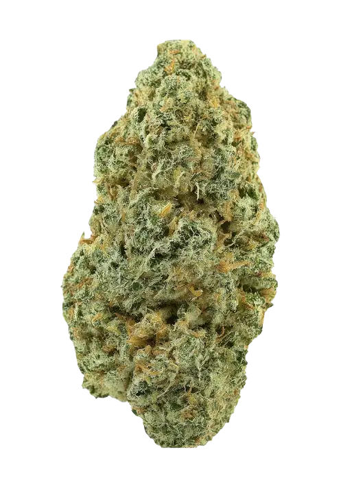 Northern Wreck