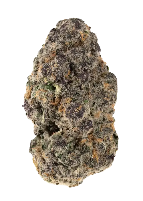 Tropical Smoothie