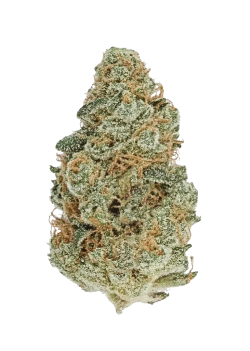 Mango Haze