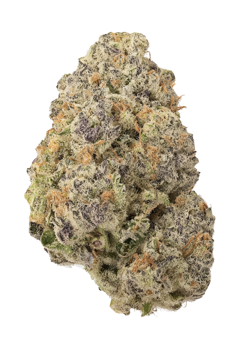 Marionberry Kush