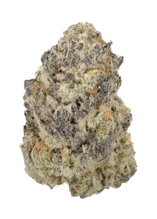 Gelato High Octane