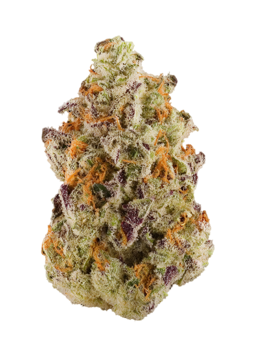 2 Scoops