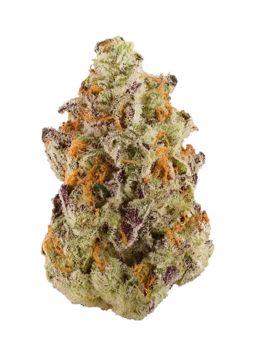 2 Scoops