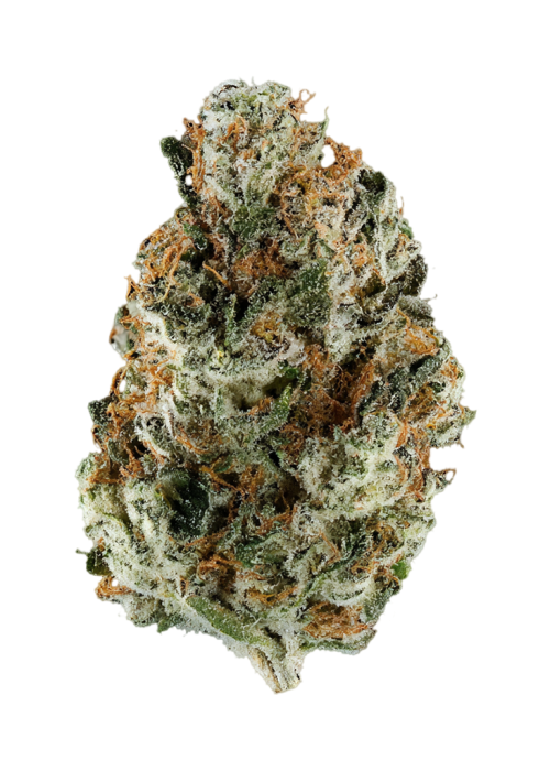 Stargazer
