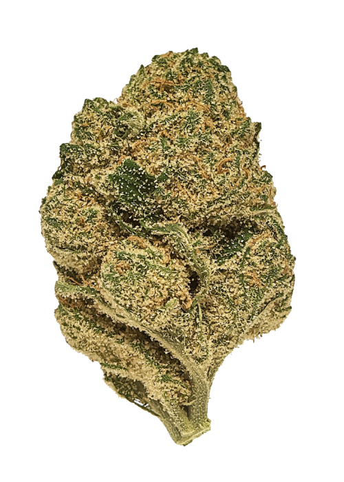 MSG
