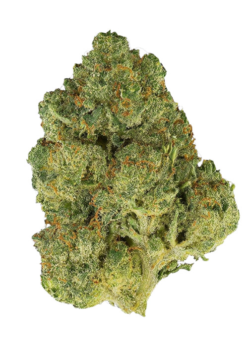 Mango Sunrise
