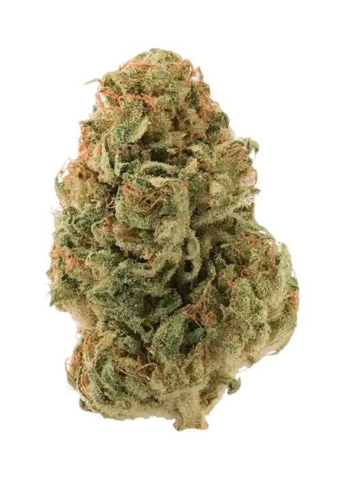 Starberry