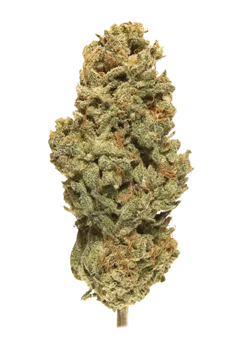 Green Wildfire