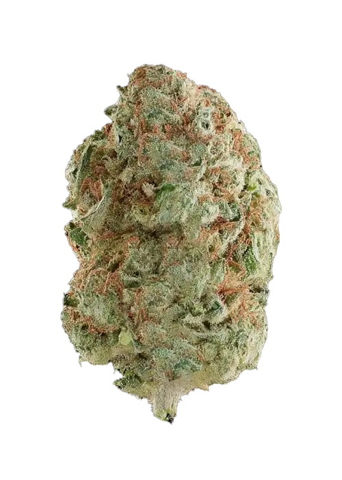 Snozzberry