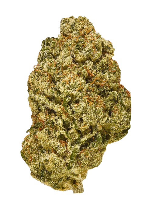 Gorilla Haze