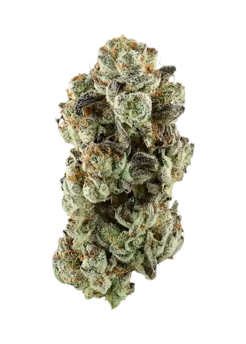 Blueberry Scone