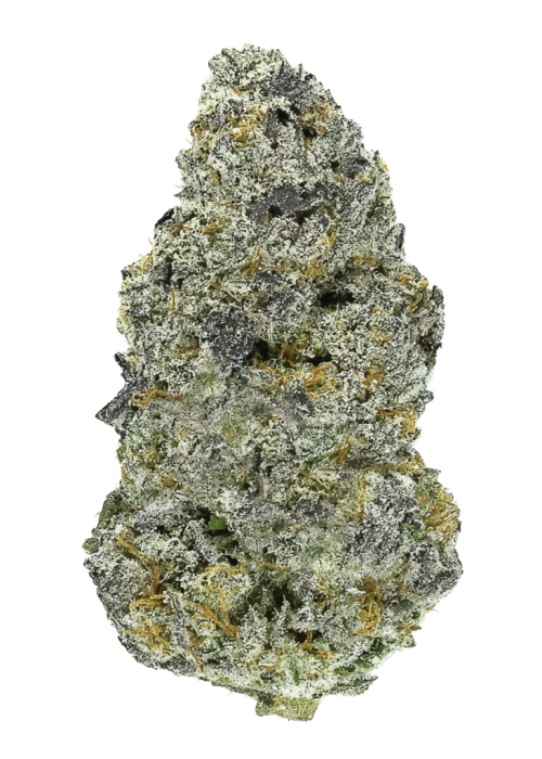 Special Kush #1