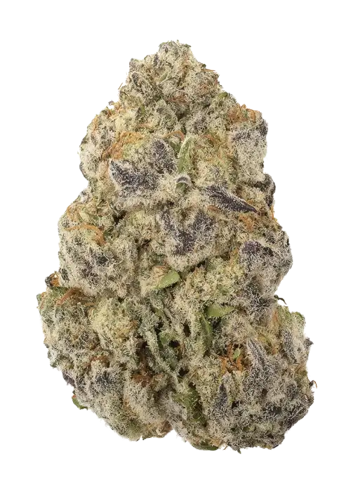 Blackberry Fire