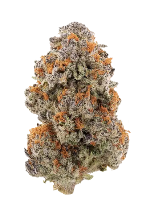 Crostada