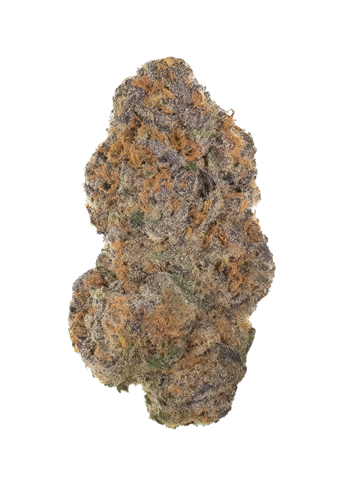 Apple Fritter