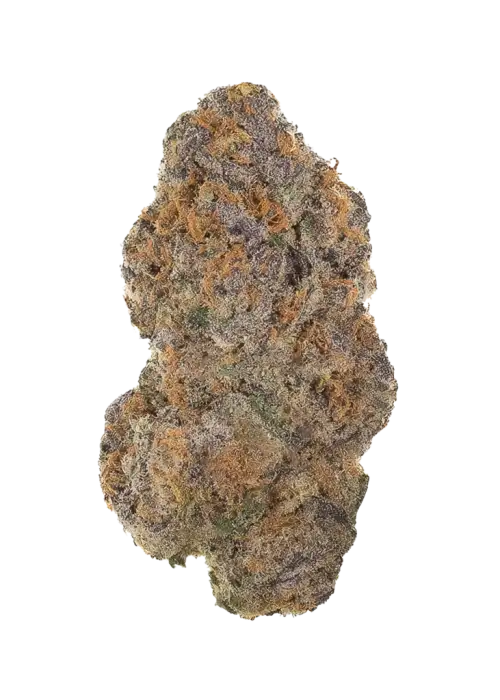 Apple Fritter