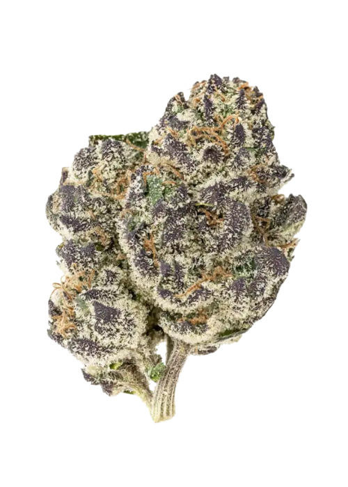 Apple Fritter